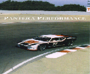 Pantera Performance Web Site